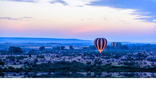 LP 71079001 Hete lucht ballon vliegend over landschap