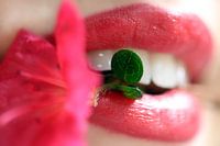 Seductive lips
