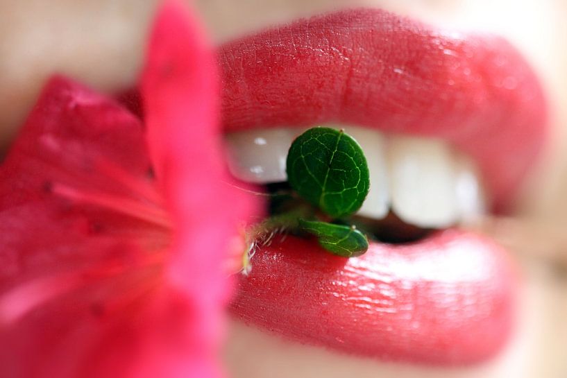 Seductive lips by Felisa Friedman
