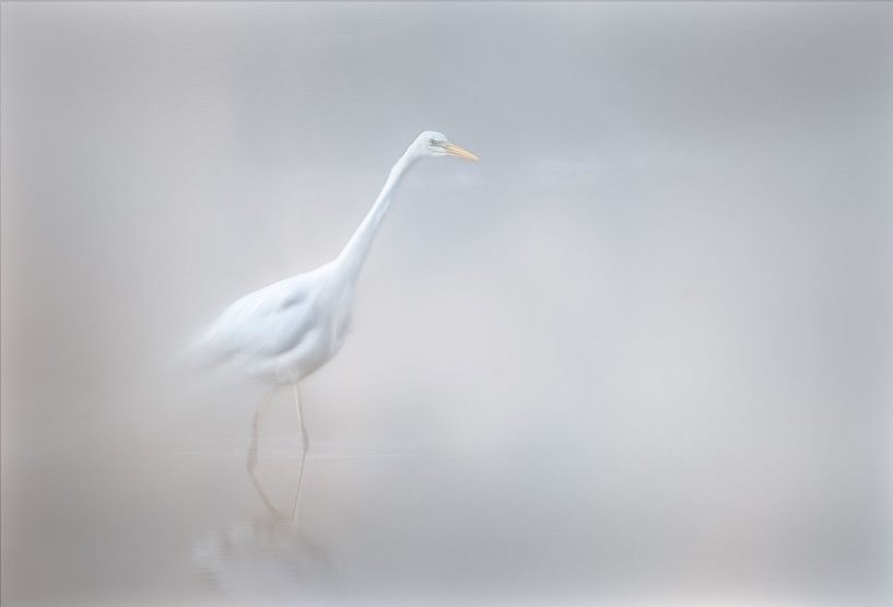 Mist of silence by natascha verbij
