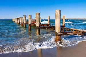 Buhne an der Ostseeküste bei Zingst auf dem Fischland-Darß von Rico Ködder