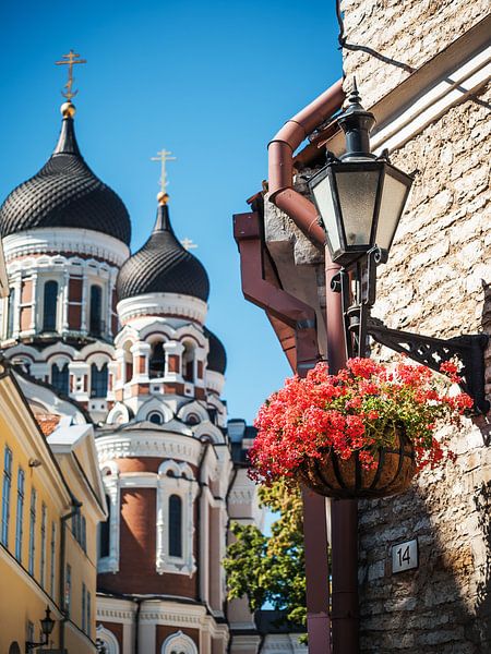 Tallinn - Alexander-Newski-Kathedrale von Alexander Voss