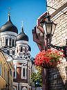 Tallinn - Alexander-Newski-Kathedrale von Alexander Voss Miniaturansicht