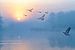 Sonnenaufgang in der Twiske mit fliegenden Vögeln von Rietje Bulthuis