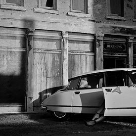 De snoek (Citroen DS) van Harry van Rhoon