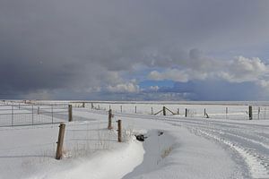 Ameland im Wintergefieder von Rinnie Wijnstra