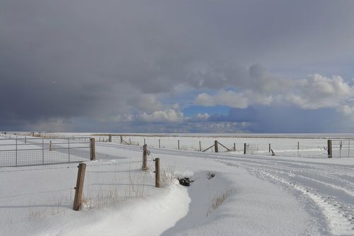 Ameland in winterkleed