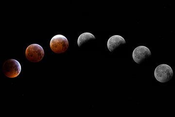 La lune de sang, Super lune. Éclipse lunaire dans le Hoekschewaard