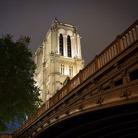 The Eternal Charm of the Pont Notre-Dame: Relive the History of Paris by Eriks Photoshop