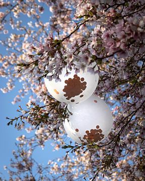 Ballon in Blüte von Fleur Lamers