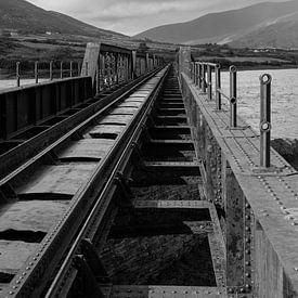 Oude spoorwegbrug, Ierland van Harry Traa