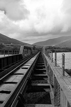 Oude spoorwegbrug, Ierland van Harry Traa