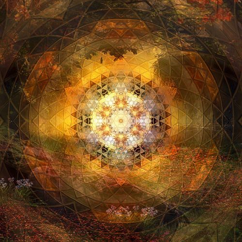 Mandala flower meadow at sunset