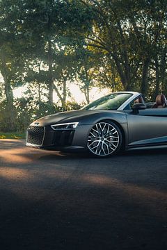 Audi R8 V10 in een Adembenemend Groene Landschap tijdens de Zonsondergang van Sebastiaan van 't Hoog