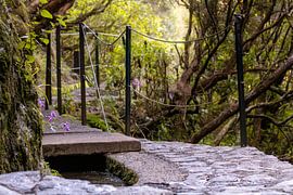 Walking trail along the levada, PR6 on Madeira, Portugal