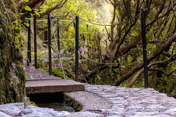 Walking trail along the levada, PR6 on Madeira, Portugal