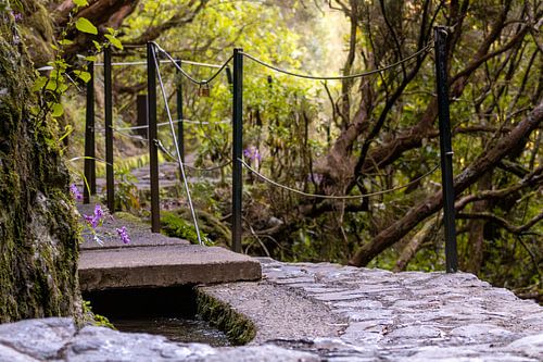 Wandelpad langs de levada, PR6 op Madeira, Portugal