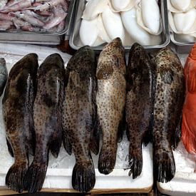 Fische Thailand von Pünktchenpünktchen Kommastrich