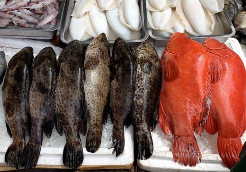 Fische Thailand van Pünktchenpünktchen Kommastrich