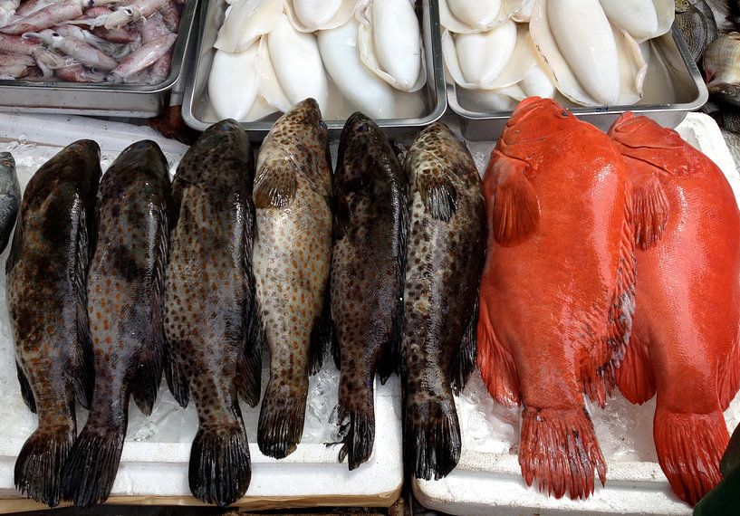 Fische Thailand by Pünktchenpünktchen Kommastrich