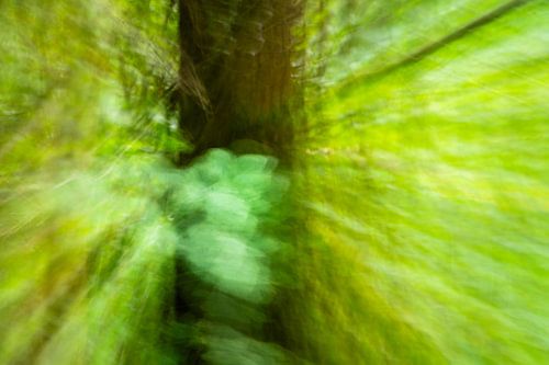 Abstracte fotografie