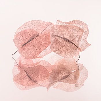 Zerbrechlich und vergänglich: Altrosa und beige Blätter