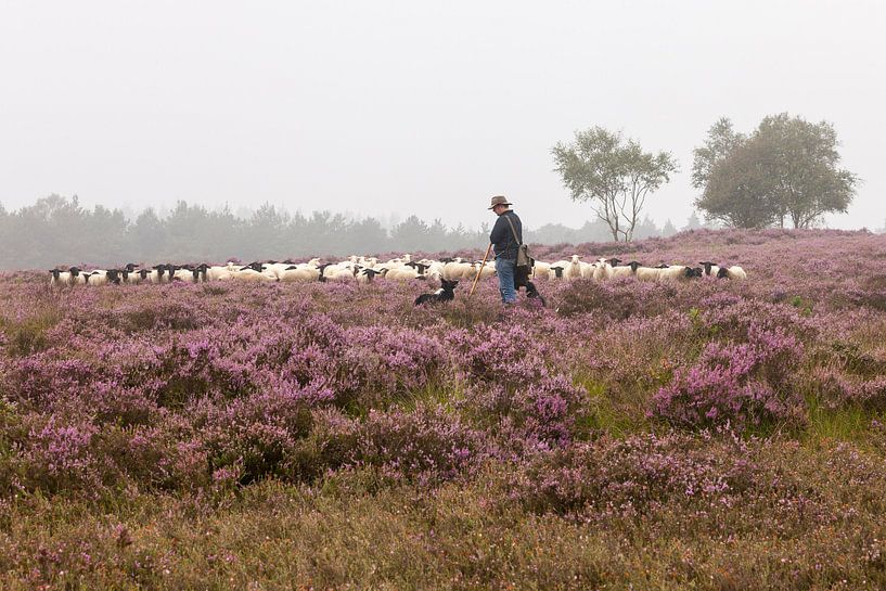 On the big silent heath by André Dorst
