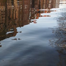 Spiegeling in het water van Marjon van Vuuren