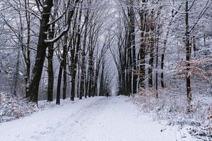 Winters