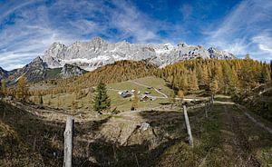 Die urige Neustattalmen am Dachstein