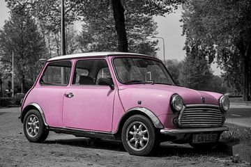 Roze MINI van Ronald George