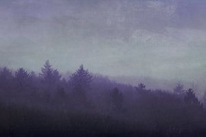 Waldhügel im Morgennebel