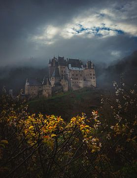 romantic castle by Rene scheuneman