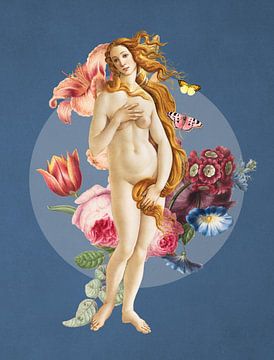 Botticelli's Venus van Marja van den Hurk