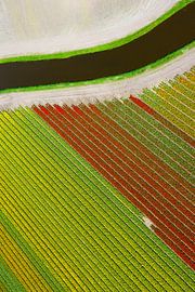 Gulgrön, röd, kanal.  by Anders Andersson