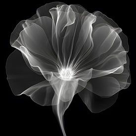 Fragile Präsenz von Skyfall