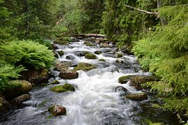 Zeitlupe von Corinne Alferink