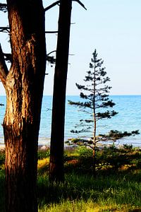 Ostsee Idylle