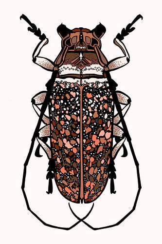 Insect Groen | Illustratie | Cabinet of Curiosities