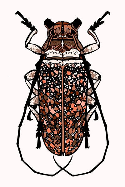 Vert insecte par Jansje Kamphuis