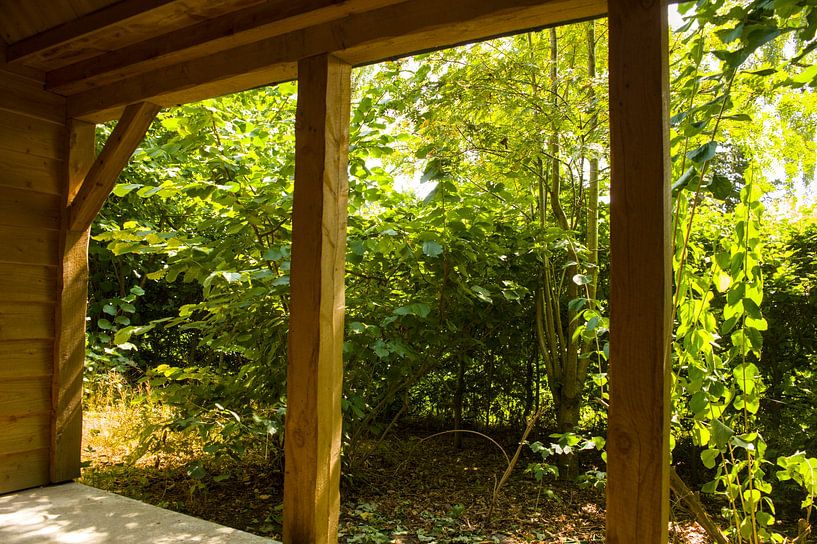 Sommer auf der Veranda von Stobbe; stiltegrafie