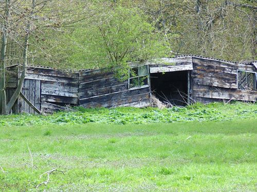 Old barn