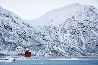 Noors hutje in sneeuw landschap - Vesteralen / Lofoten, Noorwegen van Martijn Smeets thumbnail
