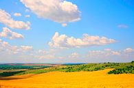 Farbenfrohe Sommerlandschaft mit Wolken von Mad Dog Art Miniaturansicht