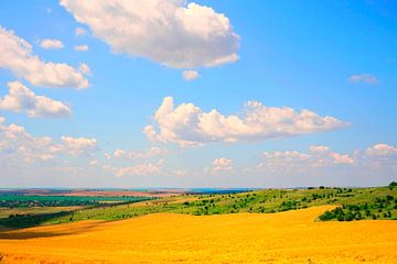 Colourful summer landscape with clouds by Mad Dog Art