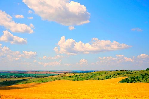 Farbenfrohe Sommerlandschaft mit Wolken von Mad Dog Art