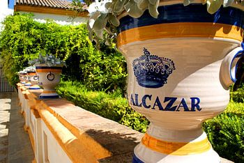 Alcazar bloempotten