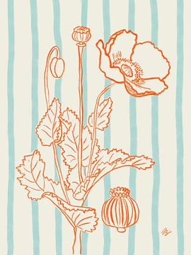 Botanische tekening klaproos van Anna Benge