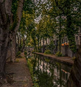 Nieuwe gracht in de zomer