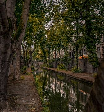 Nieuwe gracht in de zomer